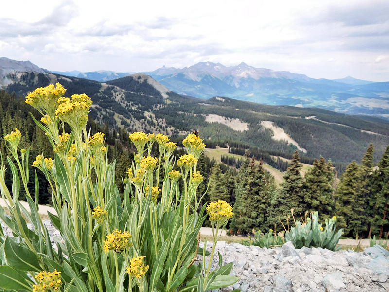 Telluride, CO Hiking