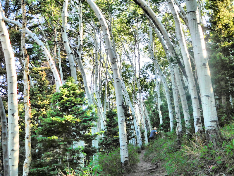 Telluride Hiking