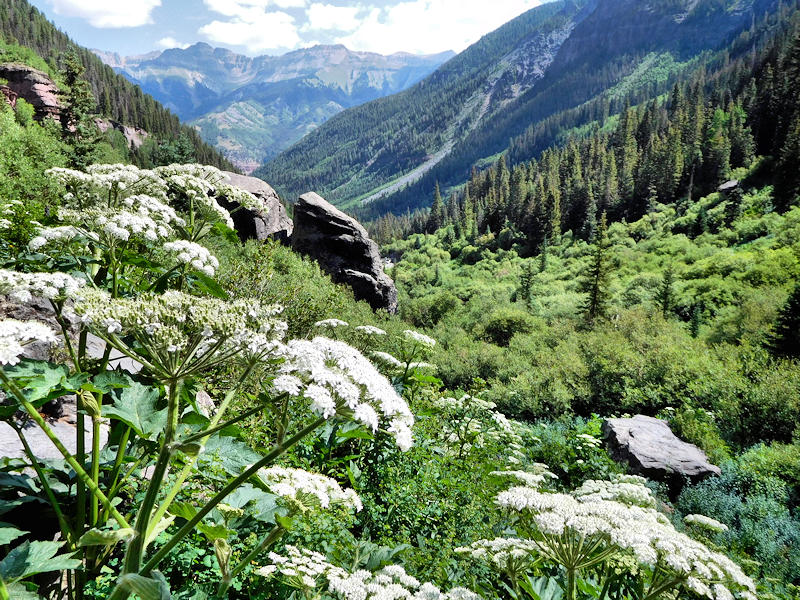 Hiking Telluride Bear Creek Falls