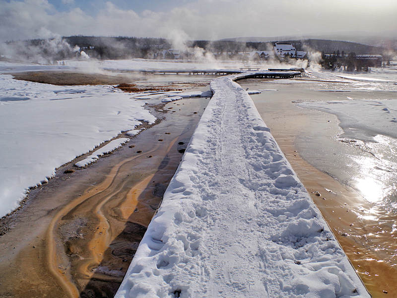 Yellowstone National Park Winter