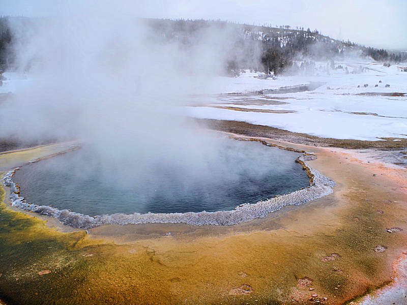 Yellowstone National Park Winter