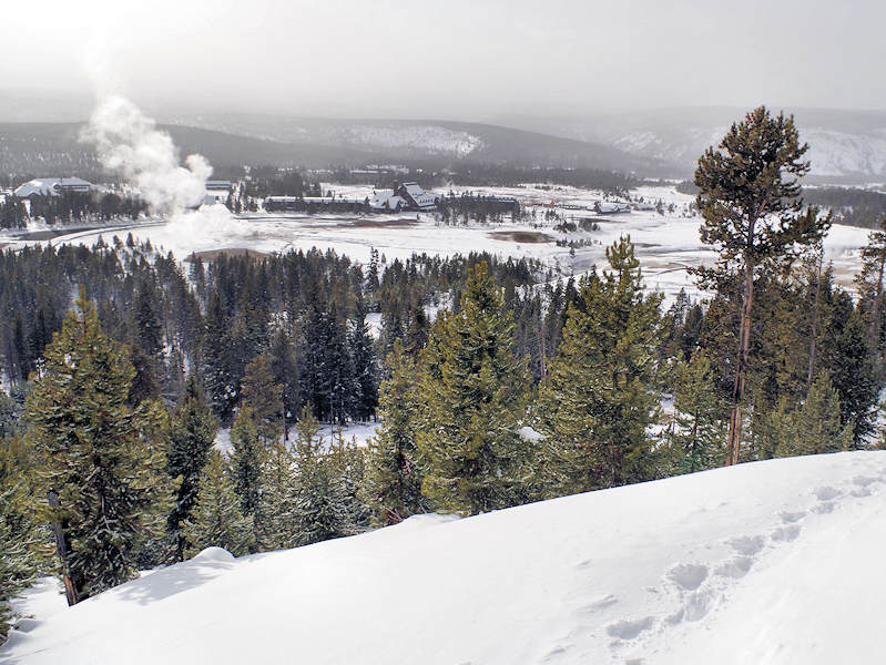 Yellowstone National Park Winter Old Faithful