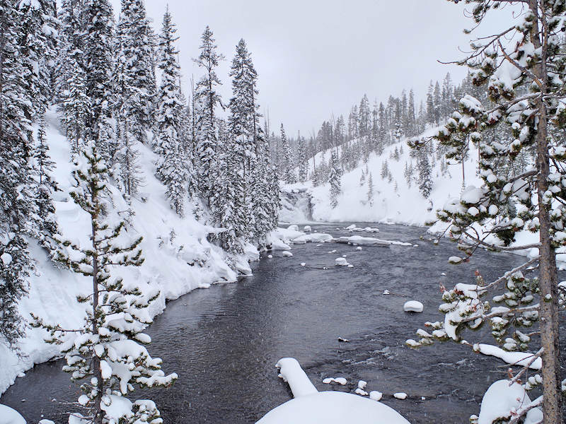 Yellowstone National Park Winter