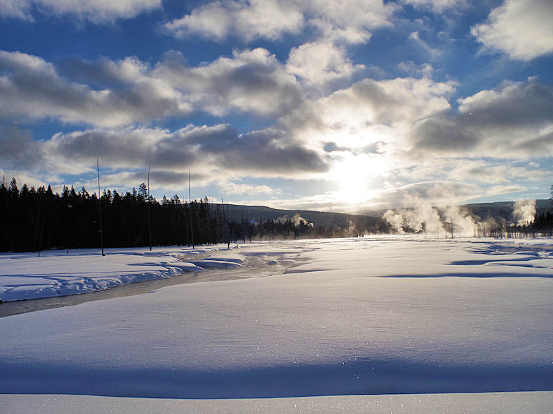 Yellowstone National Park Winter