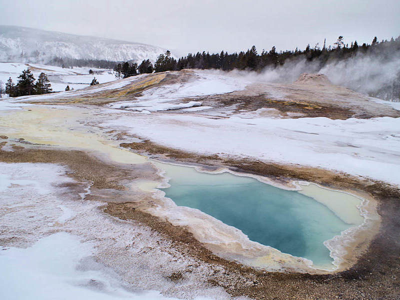 Geysers at Yellowstone