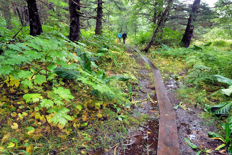 Point Bridget Trail, Juneau