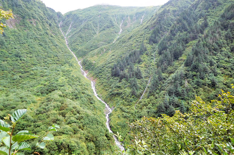 Perseverance Trail, Juneau Alaska