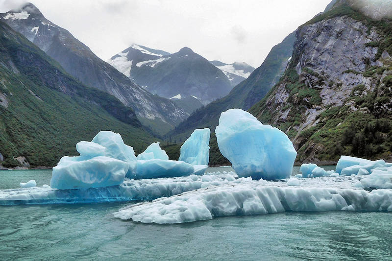 Tracy Arm Fjord Icebergs