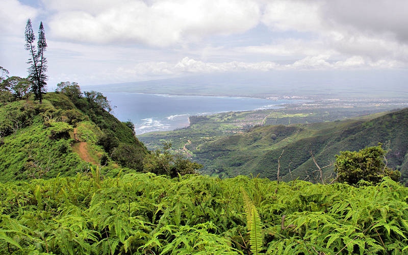 Waihee Ridge Trail, Maui