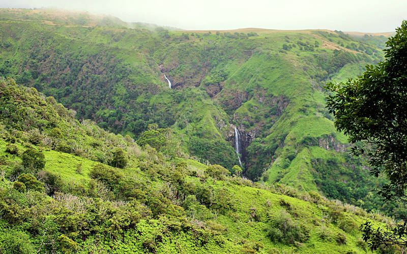Waihee Ridge Trail, Maui