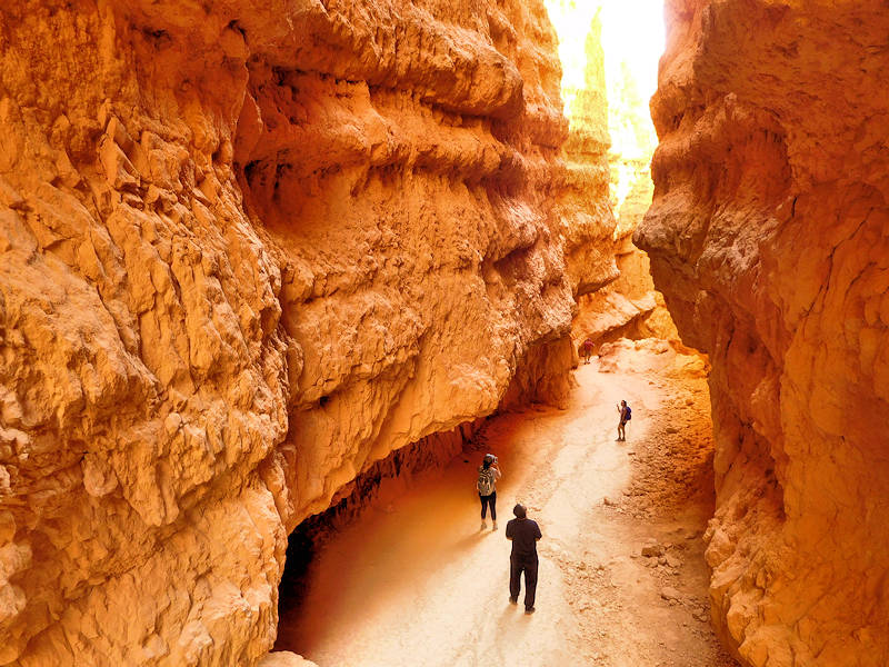 Wall Street, Bryce Canyon National Park