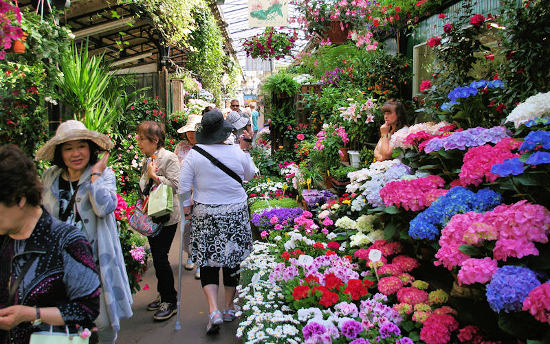 Paris Flower Market